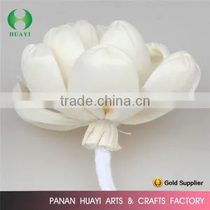 Hademade Sola Flowers for Reed Diffusers thumbnail-6