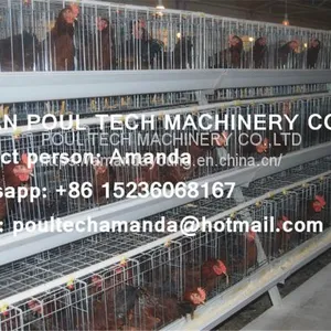 Tanzania Poultry Farm Hot Galvanized Cage & A Type Battery Cage Layer Breeding Chicken Cage & Coop for Poultry Farm thumbnail-1