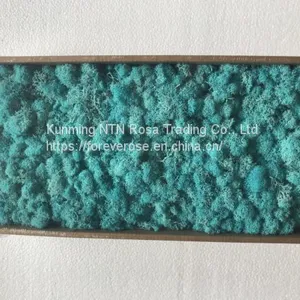 Preserved Reindeer Moss for Floral Centerpiece Arrangement thumbnail-1