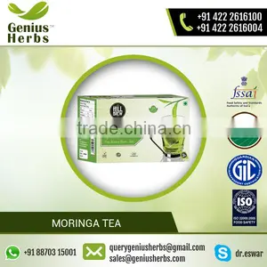 100% Pure Best Certified Quality Moringa Tea for Sale thumbnail-1
