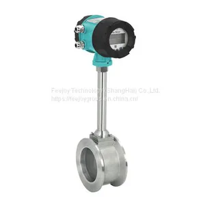 Vortex Flow Meter thumbnail-1