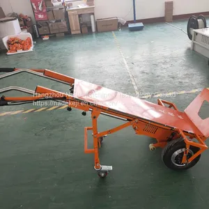 China Steel 150kg Electric Hauling and Moving Ladder Car thumbnail-4