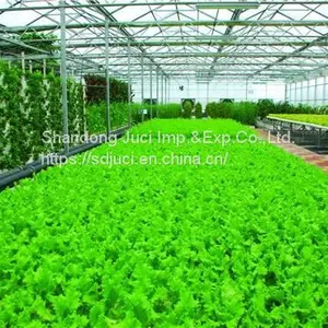 Organic Water Soluble Fertilizer Corn Steep Liquor Powder for Liquid Organic Fertilizer Corn Steep Powder thumbnail-5
