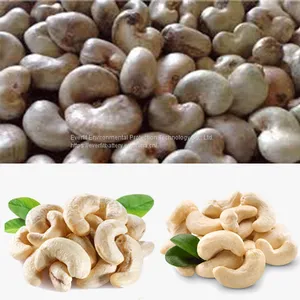 Cashew Nut Shelling Machine | Hot Sale Cashew Nut Shelling Processing Line | Cashew Nut Processing Equipment thumbnail-1