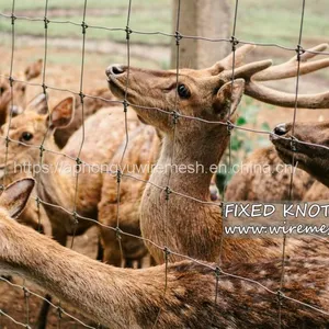 Farm Fence Field Fence Goat Cattle Deer Stock Fencing Grassland Hinge Joint Fixed Knot Fence High Tensile Strenght thumbnail-2