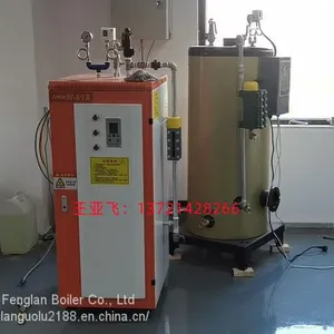 1t Electric Steam Generator for Feed, Coffee and Tobacco Drying thumbnail-5