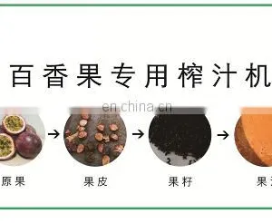 Stainless Steel Industry: Commercial Passion Fruit Tomato Juicer, Seed Extractor, Seed Meat Separator thumbnail-4