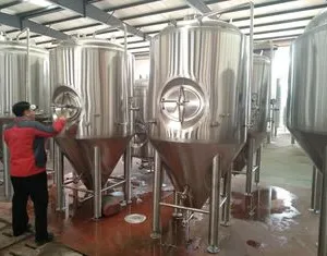 Stainless Steel Fermentation Tank for Wine, Beer, Yogurt and Dairy Production thumbnail-5