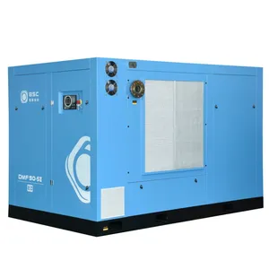 Oil-Injected Screw Permanent Magnet Variable Frequency Low Pressure Series Two Stage Air-Cooled DMF-II Series thumbnail-2