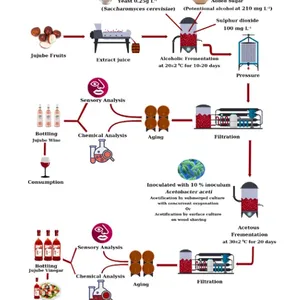 Turkey Project Black Garlic Fruit Vegetable Wine Vinegar Production Line thumbnail-3