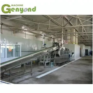 Frozen French Fries Processing Machine Plant Price for Sale thumbnail-6
