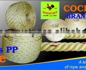 PP / Polypropylene High Quality 4 Strands Braided Rope With UV Protection and Waterproof thumbnail-1