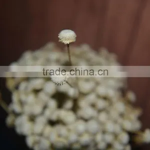 Diamond Flower thumbnail-1