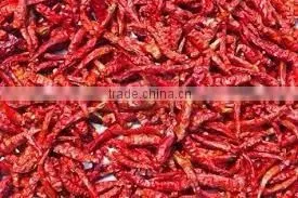 Byadgi Chillies thumbnail-1