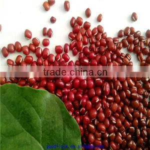 High Quality New Crop Azuki Beans thumbnail-4