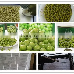 Canned Green Peas of Good Quality thumbnail-1