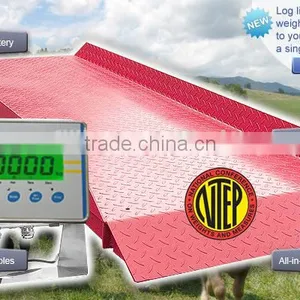 Heavy Livestock Scale Heavy Duty Horse Scale thumbnail-1
