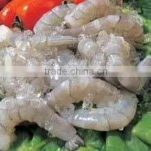 SHRIMPS thumbnail-3
