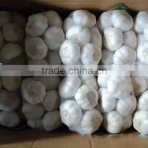 2016 Pure White Garlic 3P/4P/5P/ in 10kg Carton thumbnail-5