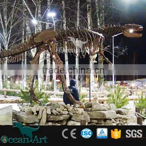 OAV2413 High Quality Dinosaur Skeleton Model thumbnail-4