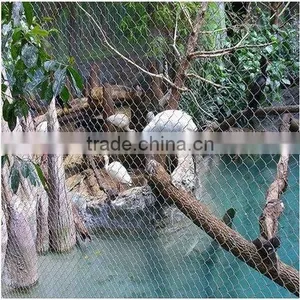 Zoo Mesh/stainless Steel Bird Netting/aviary Mesh thumbnail-1