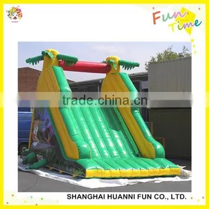 Inflatable Bouncer Slide: Dry Bouncy Slide and Wet Water Slide thumbnail-6