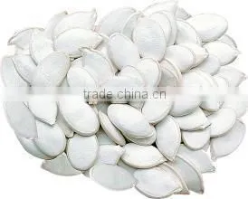 Fresh Best Cheaper Snow White Pumpkin Seed Suppliers thumbnail-1