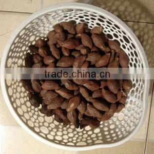 Malva Nuts From Viet Nam thumbnail-1