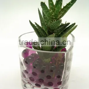 Garden Decoration Magic Water Beads for Lucky Bamboo thumbnail-3