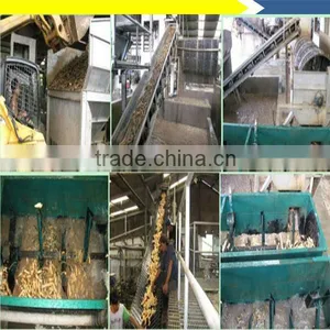 Huaxian Xinfeng Hot Selling and High Quality Cassava Starch Production Line thumbnail-1