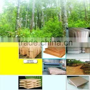 Plywood Viet Nam by Hongthaigoup thumbnail-1
