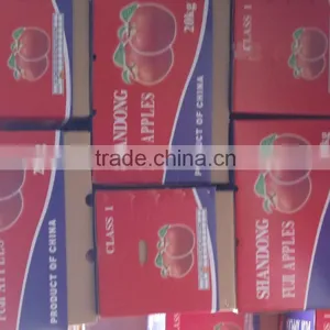 2015 Fresh Fuji Apple on Sale in Hot Sale Season With High Quality and Lowest Price thumbnail-5