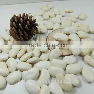 White Kidney Bean thumbnail-3