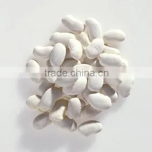 Big Size White Beans White Haricot Beans thumbnail-3
