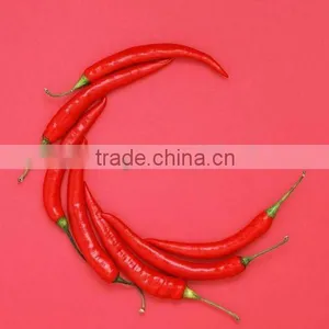 Dried Red Chill(various Size is up to You) thumbnail-1