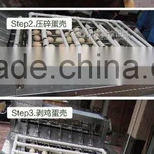 FT-200 Hot Sale Boiled Egg Shelling Breaking Peeling Machine thumbnail-5