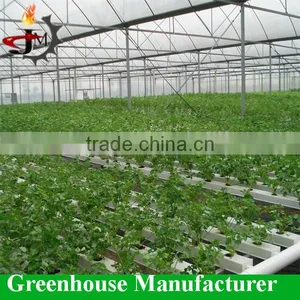 Desert and Semi-arid Greenhouse for Tomato Lettuce Strawberry thumbnail-1
