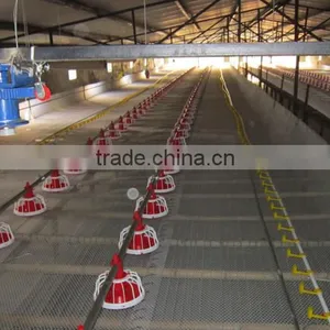 Poultry Automatic Feeding System thumbnail-5