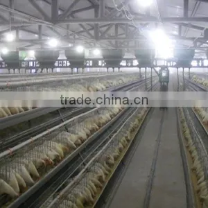 Professional Design Poultry House Design/chicken Poultry House thumbnail-1