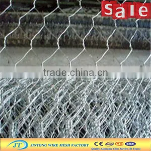 Plastic Coated Garden Fence Insulation Mesh Chicken Wire (The Manufacturer/Factory in China) (ISO9001 Manufacturer ) thumbnail-1