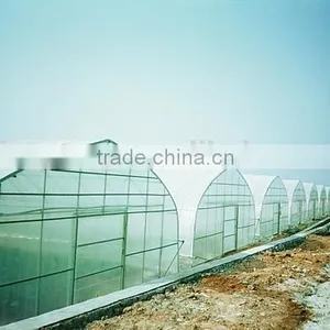 Small-scale Agricultural Greenhouse thumbnail-1