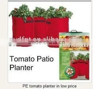 PE Tomato Planter in Low Price thumbnail-1