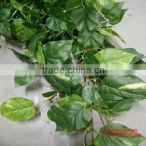 SJH010530 Factory Wholesale Artificial Small Plants Green Wall System thumbnail-4