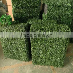 2017 Hot Sale UV Anti and Fireproof Plastic Hedge Fence Decoration thumbnail-5