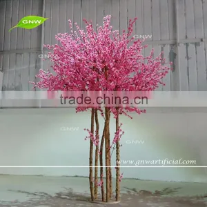 GNW BTR161031-002 8ft Maple Tree Landscaping Autumn Maple Tree thumbnail-3
