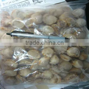 Cooked Frozen Best Sea Scallop Meat thumbnail-1