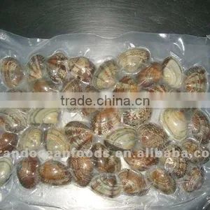 Frozen Boiled Baby Clam IVP thumbnail-1