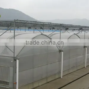 2017 Good Quality Hydroponic Tomato Greenhouse thumbnail-2