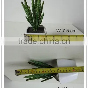 Artificial Mini Succulent Bonsai Potted Succulent Small Potted Plant thumbnail-2