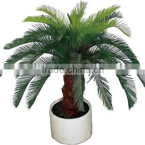 Artificial Mini Palm Trees and Palm Tree Landscaping thumbnail-6